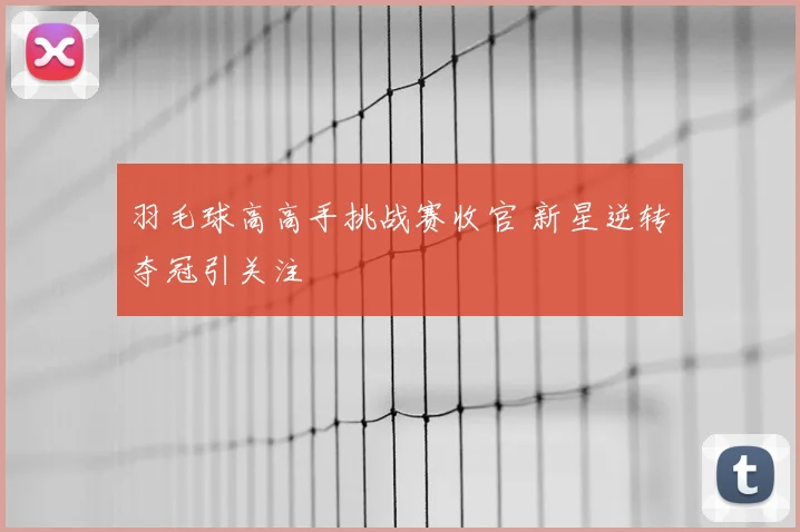 羽毛球高高手挑战赛收官 新星逆转夺冠引关注